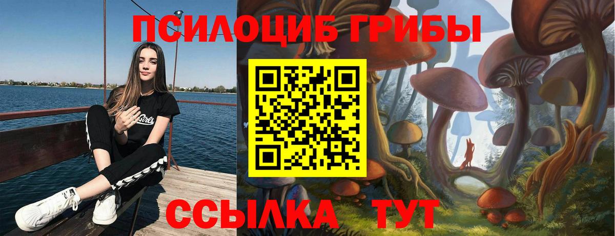 Псилоцибиновые грибы прущие грибы  Вход с VPN  Ноябрьск 