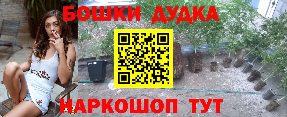 Бошки Шишки индика  Вход с VPN  Ноябрьск  Шишки марихуана семена  МАРИХУАНА White Widow 